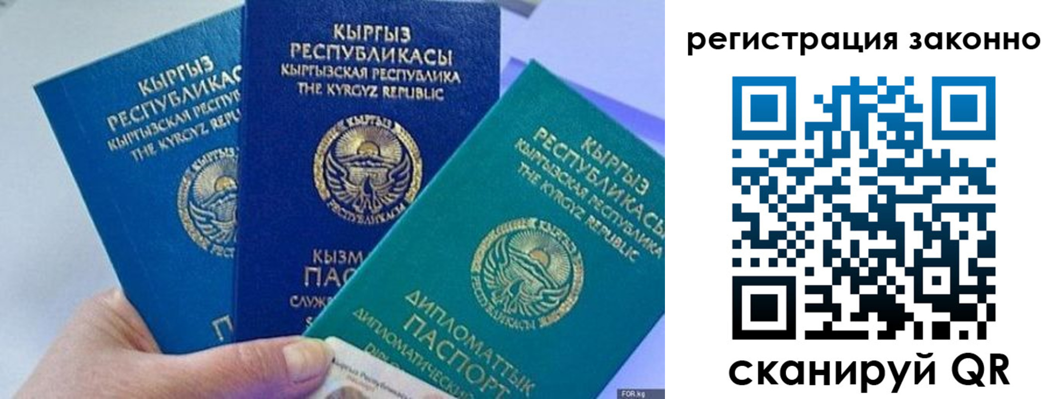 временная регистрация гарантия в Камчатской области